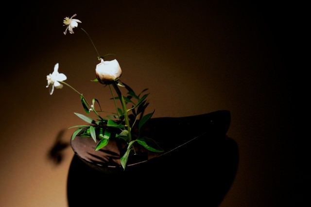 セイチェル島の椰子が咲かせる異国の花 レストランを彩る掛花入アート